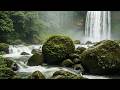 Nature Sounds for Sleeping with Relaxing Music and Birds Chirping All Night