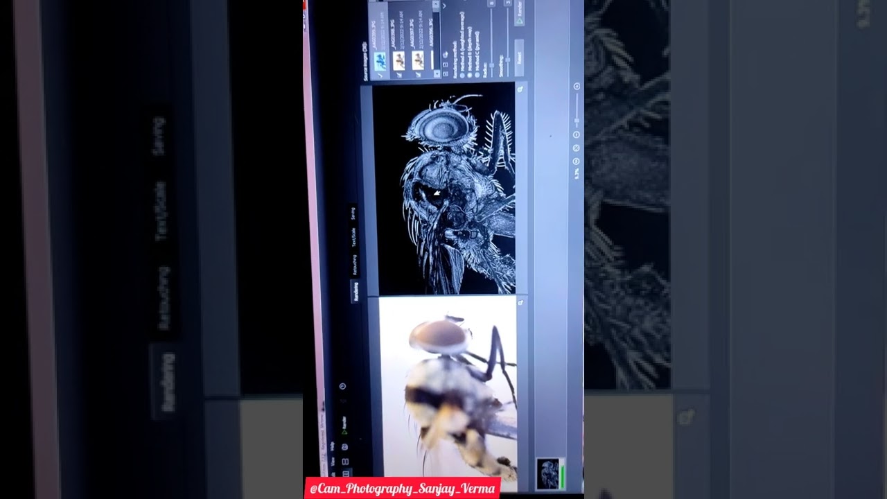 Helicon Focus Stacking