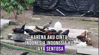 Mars Aku bangga Jadi petani #bayudiningrat