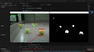 Tennis Ball Detection and Distance Estimation Using a Depth Camera for compare Depth and RGB camera