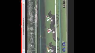 産経大阪杯 15 04 05 のレース情報 Pog Info 産経大阪杯 15 04 05 のレース情報 Pog Info