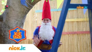 צוות הצלה 7: פגע הגמד הנחמד | ניק ג'וניור צוות הצלה 7: פגע הגמד הנחמד | ניק ג'וניור