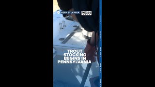 Trout stocking begins in Pennsylvania