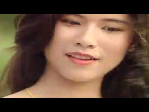 細水長流 (林振強)  KTV
