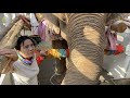 Rescue Journey Update! Sopa is almost home! 🐘- EleFlix