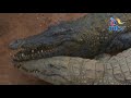 Meet Ali Mwinyi A Reptile Handler In Kwale