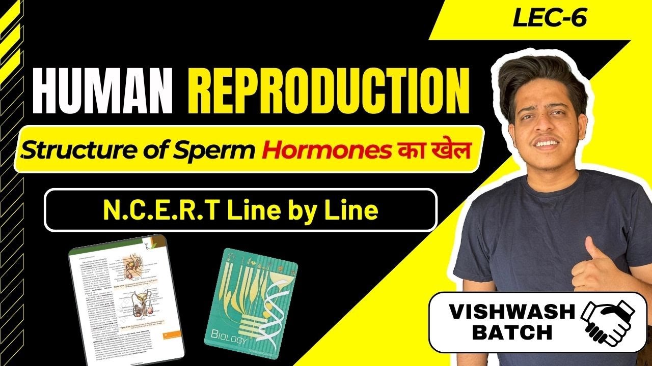 Human Reproduction || NCERT Line by line || Structure of Sperm ...