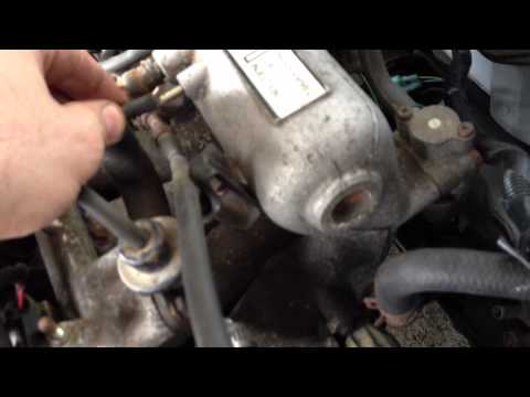 IMG_0568.MOV