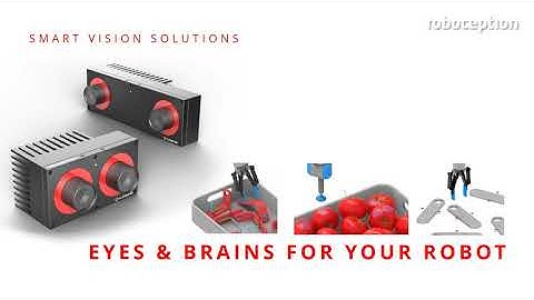 Roboception at (Digital) RIA Robotics Week 2020 - Quick Introduction