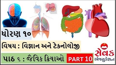 STD 10 || SCIENCE  || NCERT || CHAPTER 6 || જૈવિક ક્રિયાઓ - EASY WAY TO DRAW HUMAN HEART || ભાગ 10