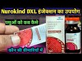 Nurokind DXL injection/Methylcobalamin Vitamin B1 &amp; B6 का उपयोग पशुओं में कब कैसे कौन सी बीमारी