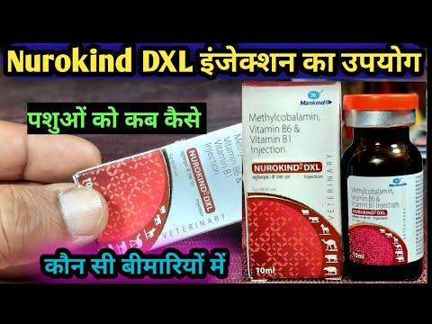 Nurokind DXL injection/Methylcobalamin Vitamin B1 & B6 का उपयोग पशुओं में कब कैसे कौन सी बीमारी