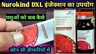 Nurokind DXL injection/Methylcobalamin Vitamin B1 & B6 का उपयोग पशुओं में कब कैसे कौन सी बीमारी