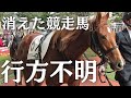 引退後に行方が分からなくなる競走馬　ギャンブルのためだけに大量生産