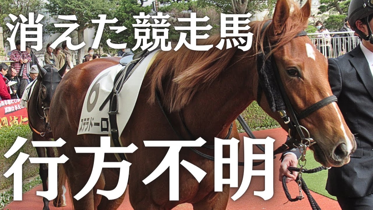 引退後に行方が分からなくなる競走馬　ギャンブルのためだけに大量生産