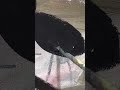 Sonido de un pincel – urban art clip, arte urbano, street artist Barcellona