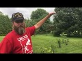 UPDATE Arbor Day trees one year later UPDATE Arbor Day trees one year later