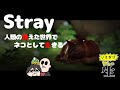 【Stray】迷いネコちゃんを操作してのんびり猫ライフを楽しむとおもいきや、めちゃくちゃ良質雰囲気のゲーム