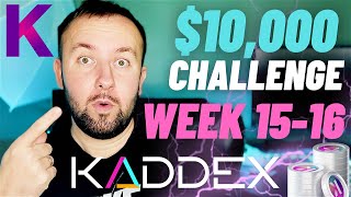 $10,000 DCA Crypto Challenge - This Is YOUR Pick 🚀 Kadena and Kaddex (Week 15 &amp; 16)