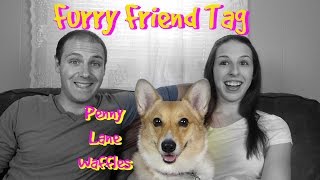 FURRY FRIEND TAG - PENNY LANE WAFFLES \\ Rules of Three