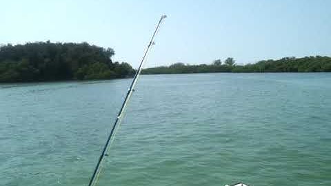 Hobie Power Skiff Lagoon Run