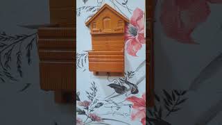 random item edit part 6