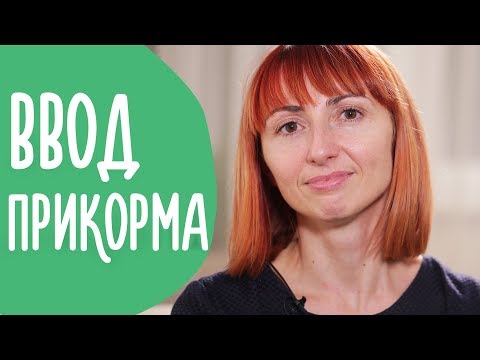 Как давать первый прикорм