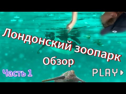 Обзор Зоопарка в Лондоне. Часть 1.