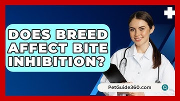 Does Breed Affect Bite Inhibition? - PetGuide360.com