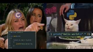 Famous Almost daily memes #1 | Programming memes (r/ProgrammerHumor) Net Worth