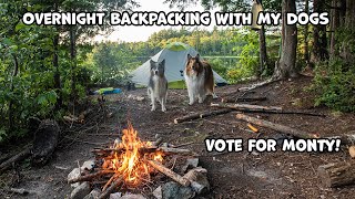 Overnight Backpacking With My Dogs