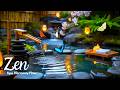 Zen Spa Music - Pure Zen Fern Garden: Gentle Piano and Peaceful Waterfall Sounds for Meditation
