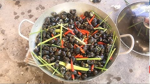 Món ngon miền quê - quá ngon với món ốc gạo xào nước cốt dừa - Ngọc vũ Vlog