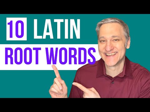 Video: Wat betekent het Latijnse stamwoord vis?