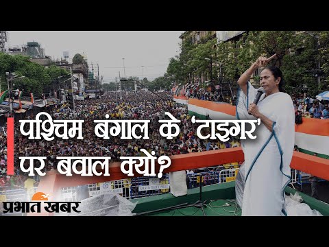 Bengal Election 2021: CM Mamta Banerjee ने खुद को कहा Tiger तो BJP बोली बिल्ली  | Prabhat Khabar