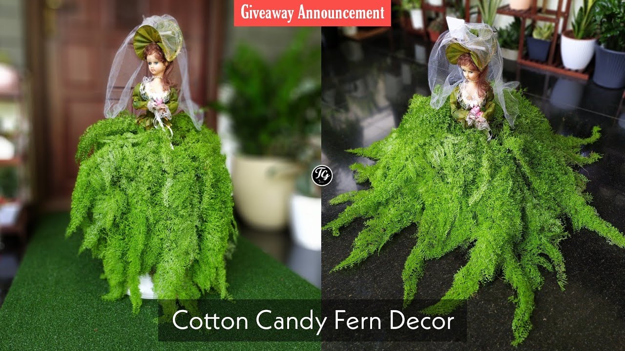 Cotton Candy fern decoration | 100k Special Giveaway
