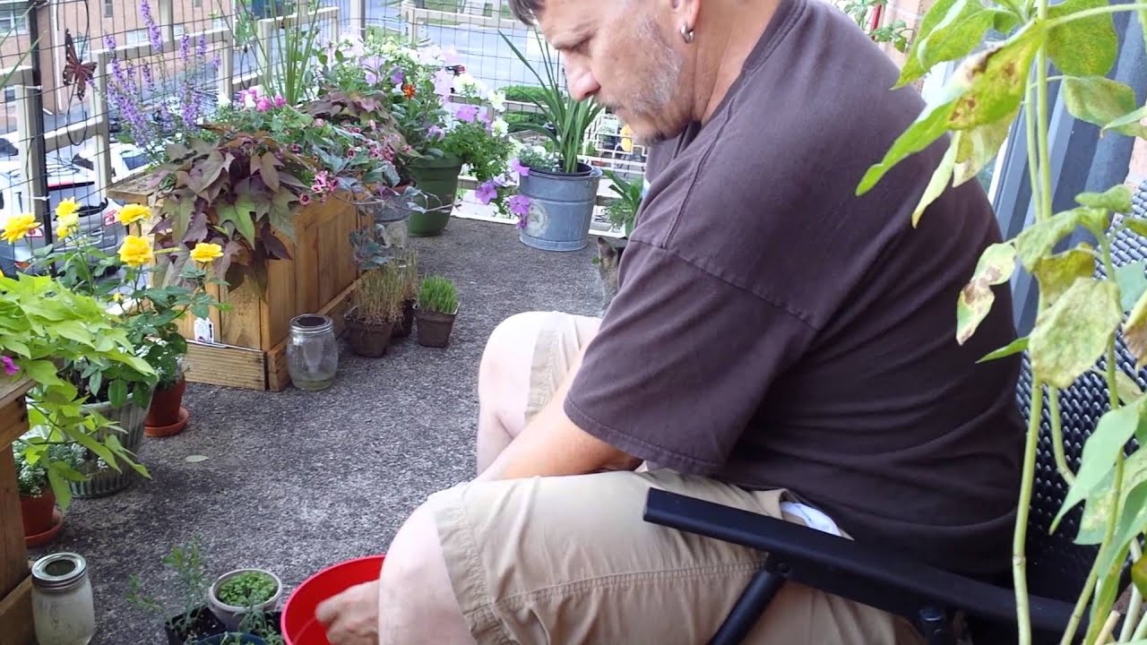 That's using your noodle! - YouTube