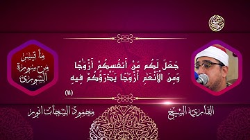 تلاوة تاريخية من جنوب أفريقيا ! سورة الشورى للقارئ العالمي الشيخ محمود الشحات أنور HD