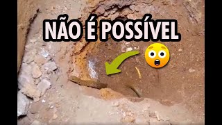 Algo nesse vídeo indica que todo esse ouro encontrado é fake. Deixe sua opinião nos comentários