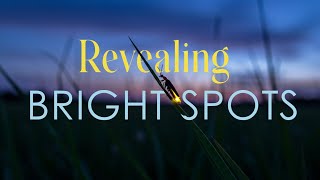 Revealing Bright Spots: Advanced Diagnostics for CWD