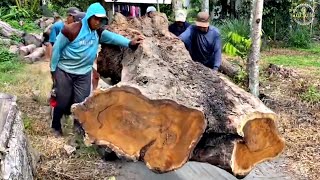 Sawing the "Immortal Wood": Unveiling Johar's Strength & How to Work It!