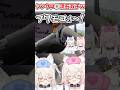 リアクションのシンクロ率が流石双子なフワモコw【ホロライブ/切り抜き/VTuber/ 白上フブキ / FUWAMOCO / ホロ鯖GTA / #hologta 】