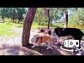 Perros en realidad virtual | Episodio #252