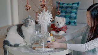 Как дом из 3 собак и кошки встречает рождество