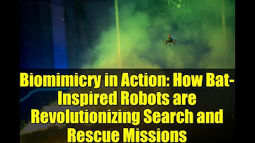 Biomimicry in Action: How Bat-Inspired Robots are Revolutionizing Search and Rescue Missions