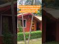 "Corporate majdoor ho… chalo pahad, wahan kam se toh chutkara milega!#majdoor #corporate #mountains