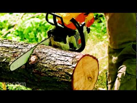 treeservicesknoxville