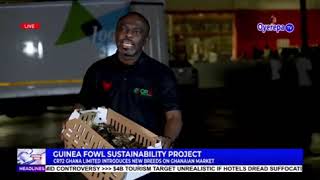 CR72 Ghana Limited Introduces New French Guinea Fowl Breeds on Ghanaian Market