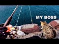 Fishing with a Cat Supervisor.