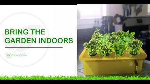 Complete DWC Hydroponic System Growing Kit for Beginner